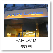 HAIRLAND