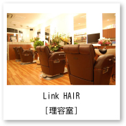 linkhair