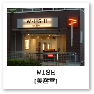 wish